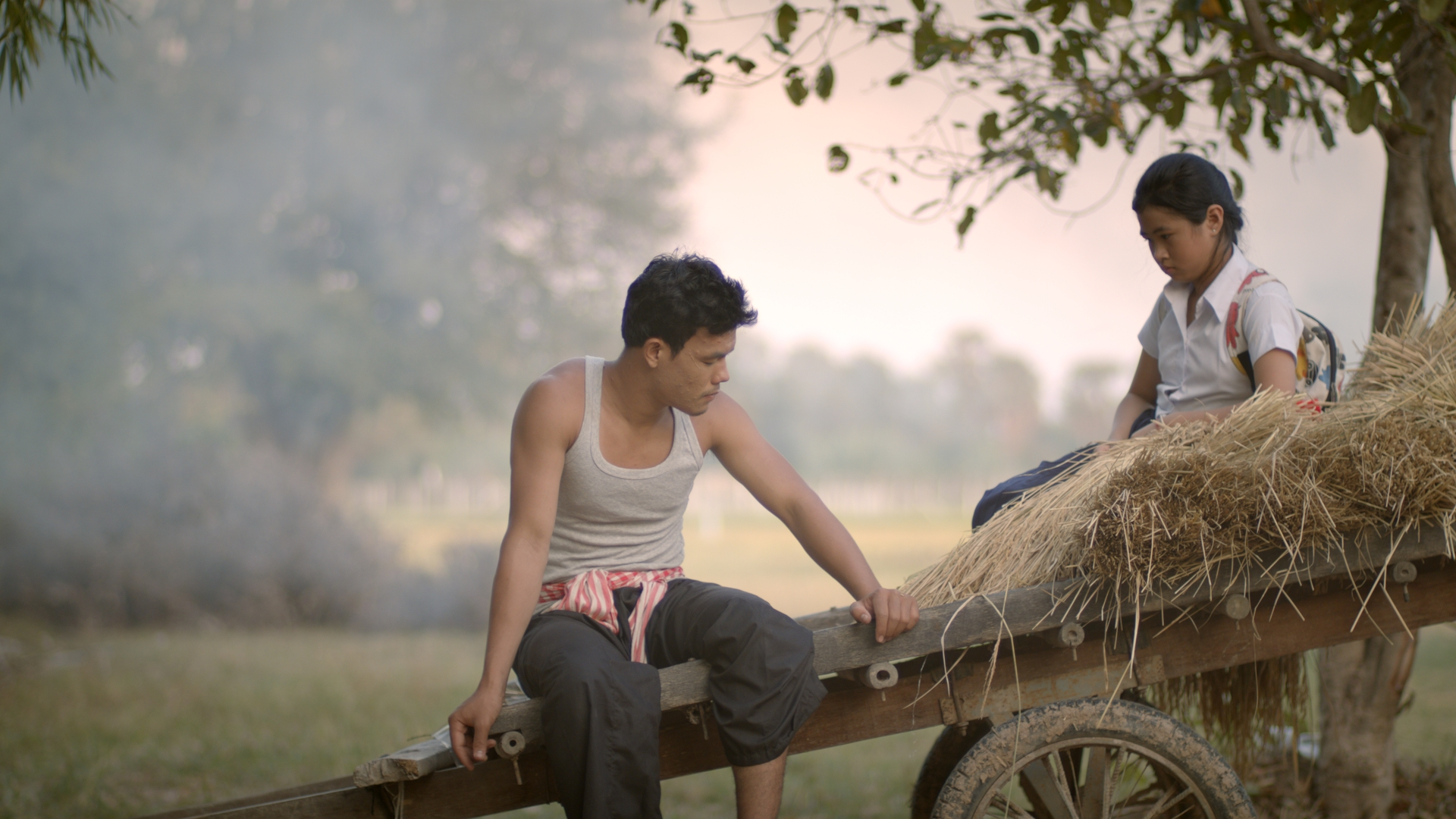 Stills